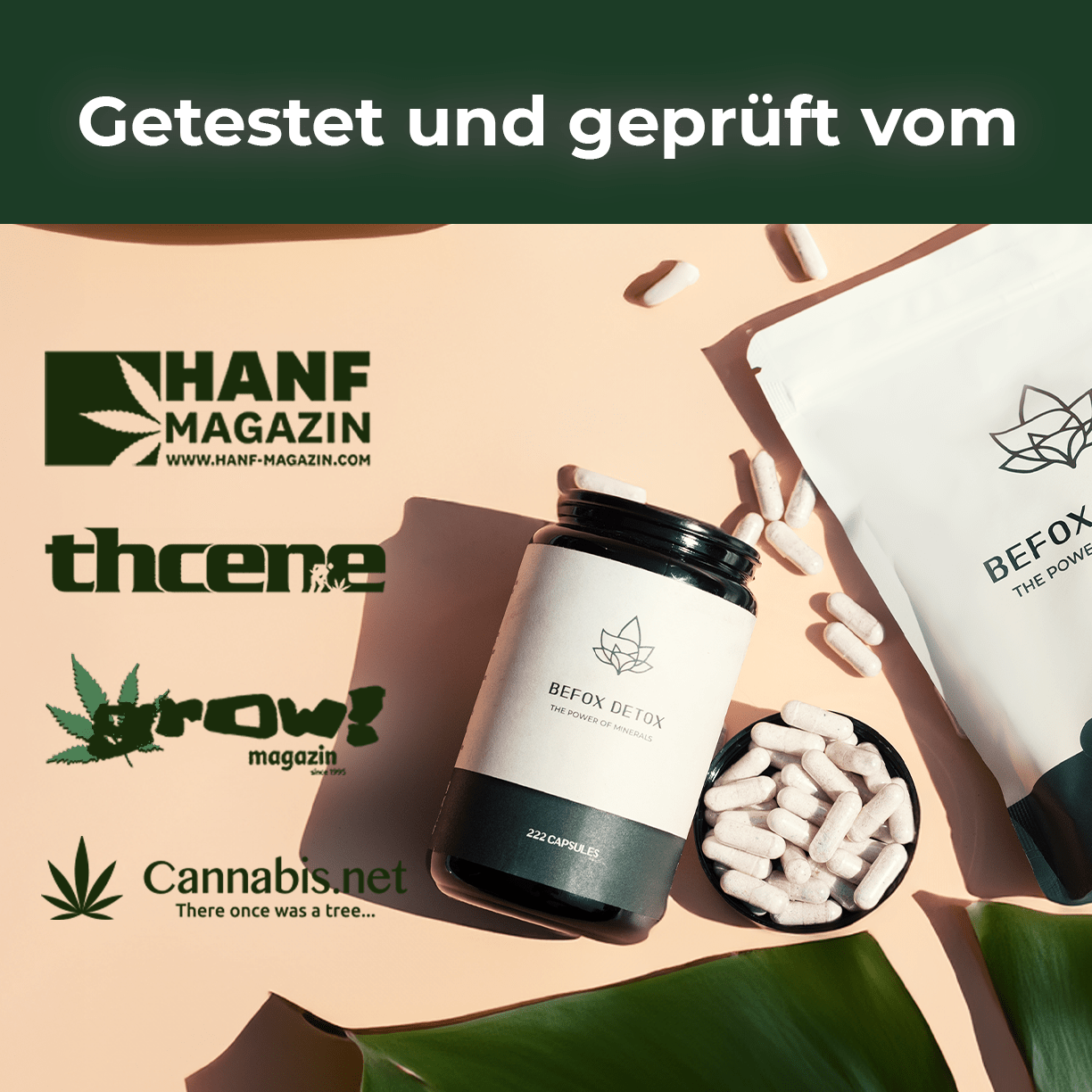 BeFox Detox Starter Pack