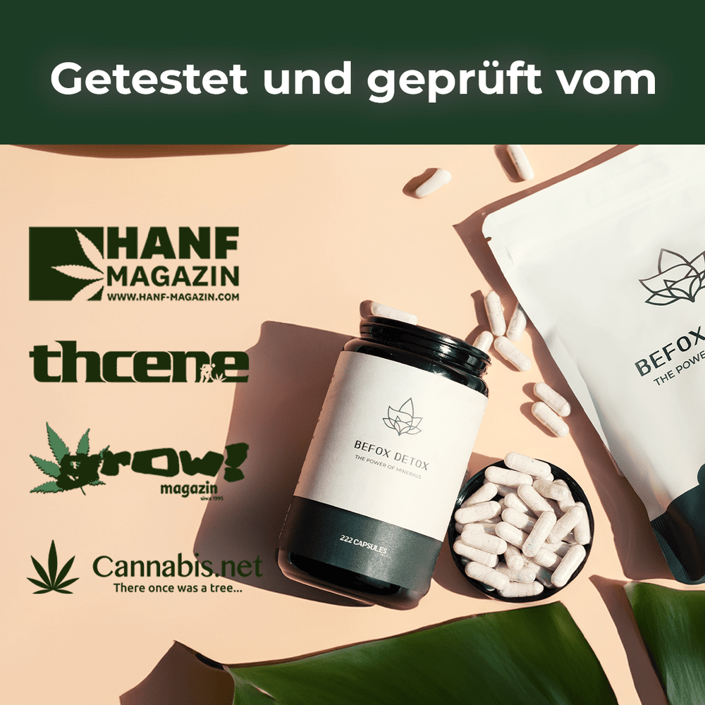 Schnellster Weg Thc Aus Urin Zu Bekommen THC Urin Cleaner — Sorgenfrei mit BeFox